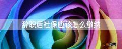 辞职后社保应该怎么缴纳
