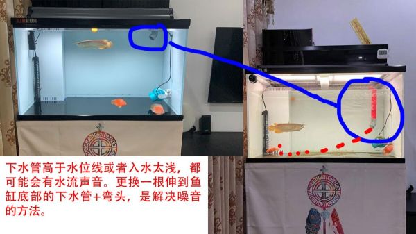 鱼缸出水口噪音大怎么办？下水消音改造方法分享