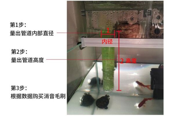鱼缸出水口噪音大怎么办？下水消音改造方法分享
