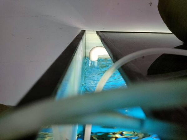 鱼缸出水口噪音大怎么办？下水消音改造方法分享