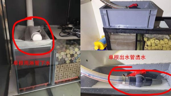 鱼缸出水口噪音大怎么办？下水消音改造方法分享