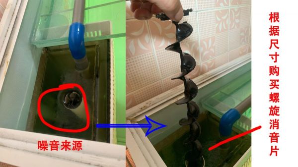 鱼缸出水口噪音大怎么办？下水消音改造方法分享