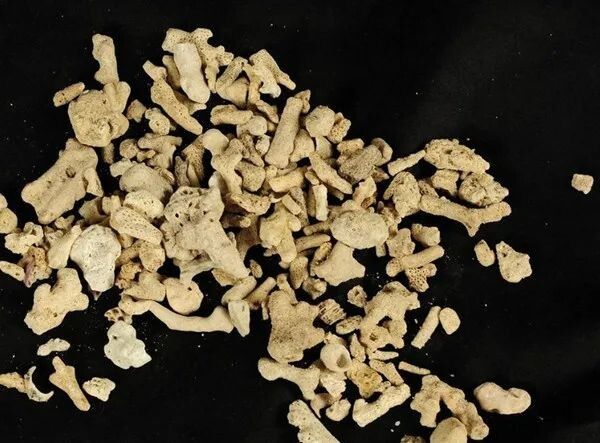 鱼缸滤材的种类大全与作用详解,养鱼人必备知识分享!