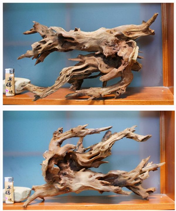 如何挑选一个合适自己的鱼缸（六）——造景材料的选择 