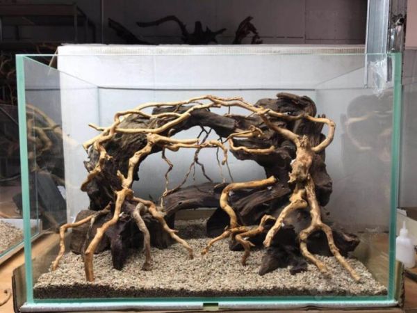如何挑选一个合适自己的鱼缸（六）——造景材料的选择 