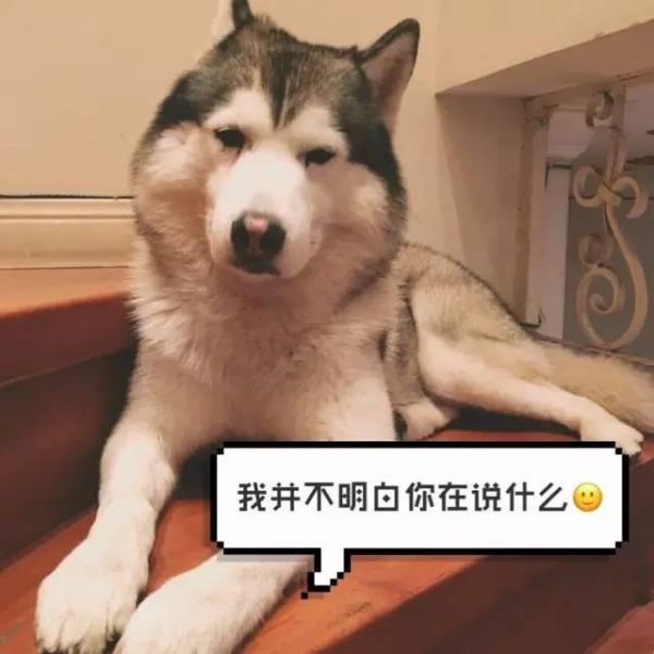 狗狗需要的维生素及获取方式，100000 主人都收藏了