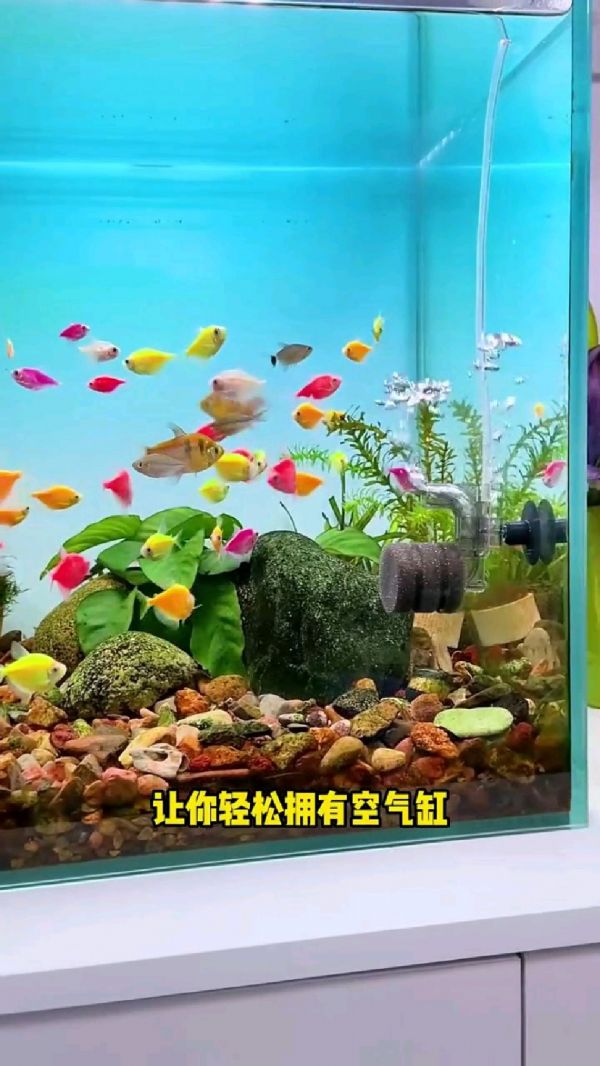 水妖精过滤器介绍_养鱼必备设备_鱼缸过滤器推荐_水妖精过滤器价格_美观大气的鱼缸装饰_鱼缸增氧设备_家用鱼缸过滤器_养鱼技巧分享_水妖精使用教程_如何挑选鱼缸过滤器