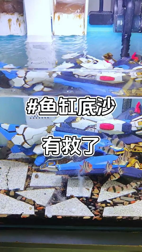 底沙清洁小妙招_鱼缸底沙清洗工具_底沙过滤器推荐_鱼缸底沙品牌_鱼缸维护技巧_底沙增氧设备_底沙选择指南_底沙改善水质_底沙生态构建_鱼缸底沙清洁步骤