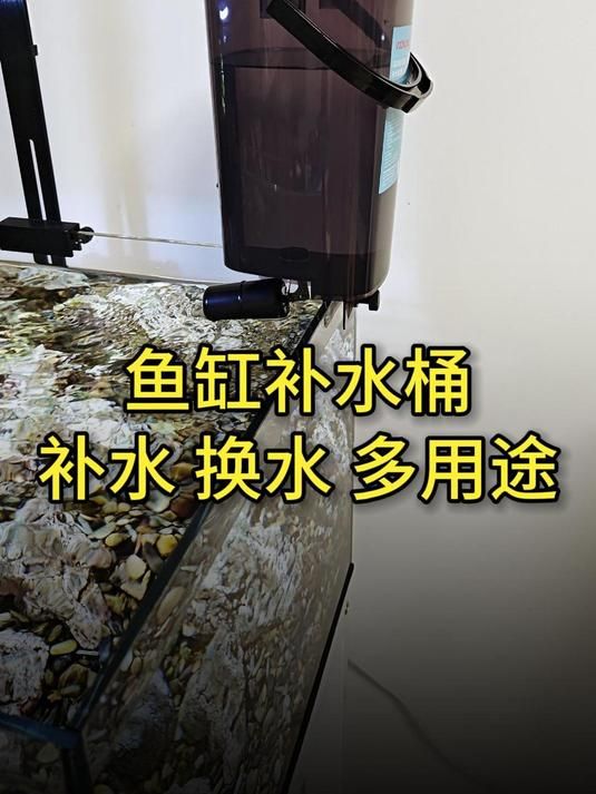 大容量鱼缸补水神器_鱼缸补水桶哪种好_便捷鱼缸补水工具_鱼缸专用补水设备_养鱼必备补水桶_家用鱼缸补水桶推荐_大容量水桶批发_养鱼补水解决方案_鱼缸维护工具_简易鱼缸补水法