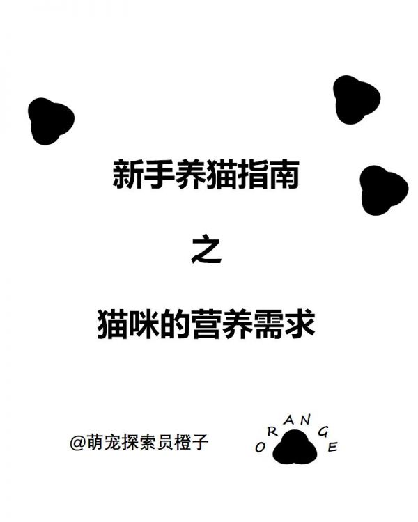 新手养猫，营养千万别落下。新手养猫指南之猫咪的营养需求#新手养猫 #猫咪营养 #养猫经验分享