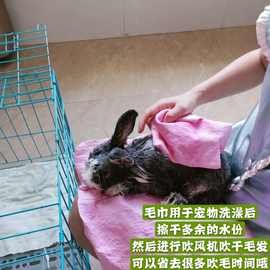 兔子沐浴露 龙猫豚鼠洗澡水洗 仓鼠荷兰猪洗澡膏小宠除臭清洁用品