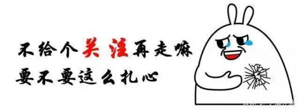 养鱼！我有三个小妙招，保护观赏鱼健康维生素C很重要，新手必看
