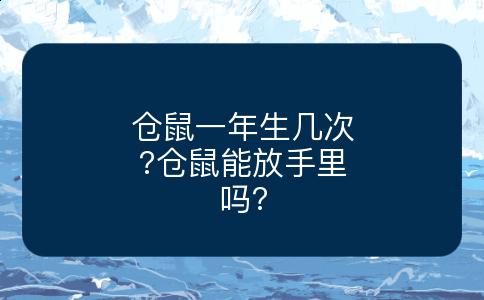 仓鼠一年生几次?仓鼠能放手里吗?