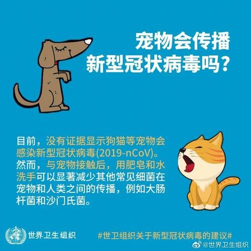 宠物科普知识大全（宠物知识普及）