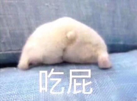 准备吃屁吧