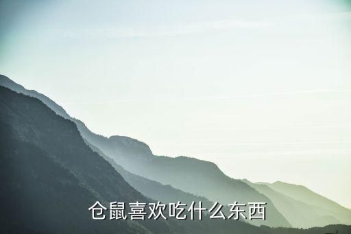  仓鼠喜欢吃什么东西