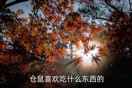  仓鼠喜欢吃什么东西的