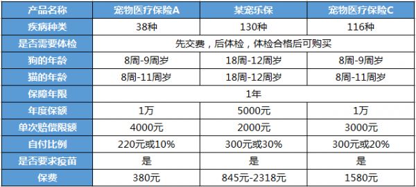 宠物可以买保险吗 给宠物买保险应该这样做