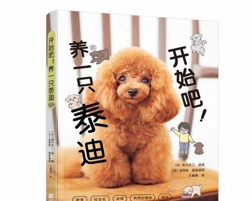 小狗饮食全指南（宠物喂食须知、饮食禁忌及健康食谱分享）