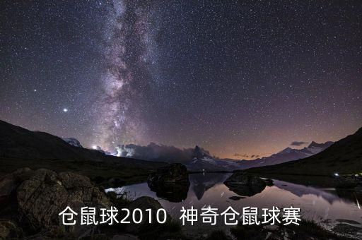 仓鼠球2010 神奇仓鼠球赛