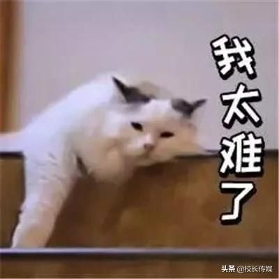 致家长:孩子居家学习,你的高质量陪伴是最高级的课程