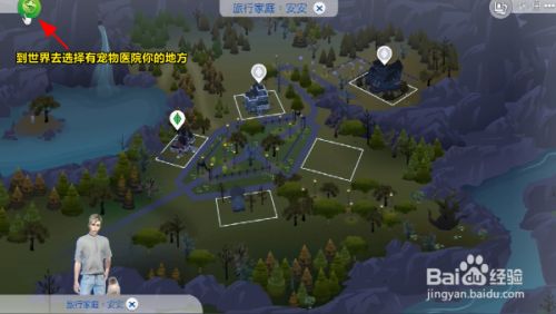 模拟人生宠物生病了怎么办？