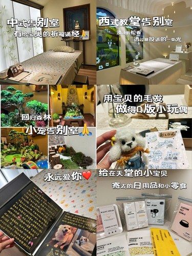这不是一篇悲伤的文章｜是毛孩子的告别仪式[双手合十]
