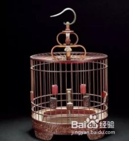 鸟笼制作教程