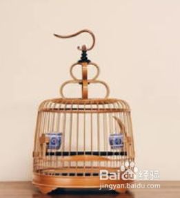 鸟笼制作教程
