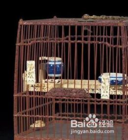 鸟笼制作教程