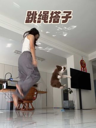 从此多了一个跳绳陪练,我没教他竟然就会跳绳,而且兴奋的直叫唤#年轻人养宠物主打一个双标 #萌宠推荐官 #边牧 #狗狗跳绳