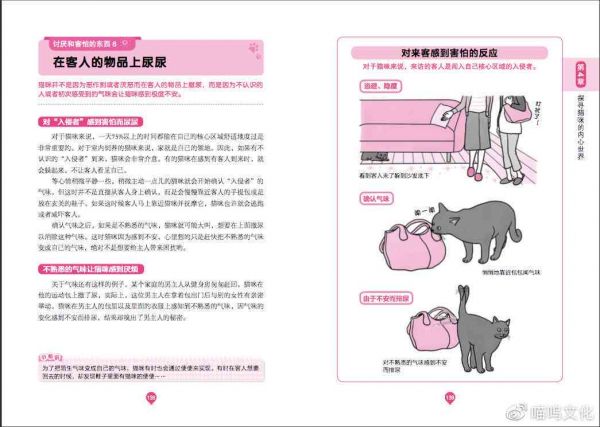 全方位解读小猫性：涵喂养、行为、健与养护常见问题解答