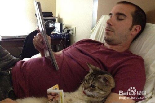 猫咪囧研究：你家的喵星人在学你的各种习惯！