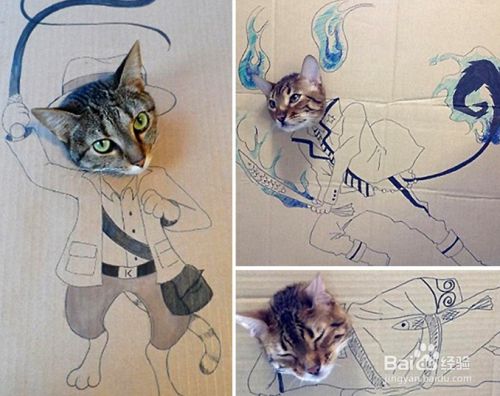 猫咪囧研究：你家的喵星人在学你的各种习惯！