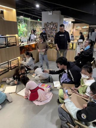 三叠纪爬宠体验店(家饰佳店):郑州周末去那玩“郑州三叠纪爬宠体验馆,适合亲子 情侣 家庭一起玩的地方,讲解员讲解不限时撸爬体验#周末去哪玩 #郑州爬宠店 #三叠纪爬宠