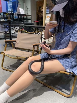 三叠纪爬宠体验店(家饰佳店):郑州周末去哪儿玩“郑州三叠纪爬宠体验馆”一个适合亲子情侣家庭一起出行避暑的好去处。不限时撸爬宠,讲解员全程科普,一个涨知识又好玩的避暑圣地#周末去哪玩 #郑州周边游玩推荐 #亲子游玩好去处 #三叠纪爬宠 #郑州爬宠店