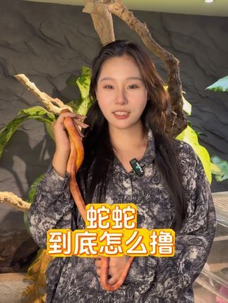 三叠纪爬宠体验店(家饰佳店):新手宝宝看过来,蛇蛇到底怎么撸#爬宠体验馆 #蛇 #爬宠 #蛇 #蛇蛇教
