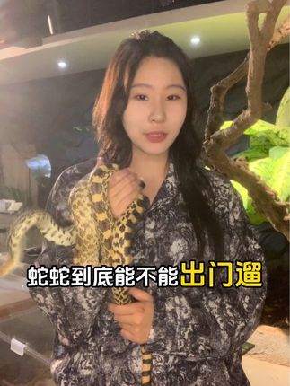 三叠纪爬宠体验店(家饰佳店):新手养蛇必须要看的,蛇蛇到底能不能带出去装个大的#蛇 #蛇蛇教 #蛇 #爬宠 #爬宠体验馆