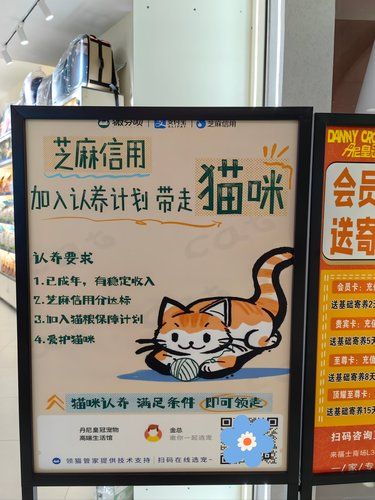 请问成都哪里可以免费领养猫咪