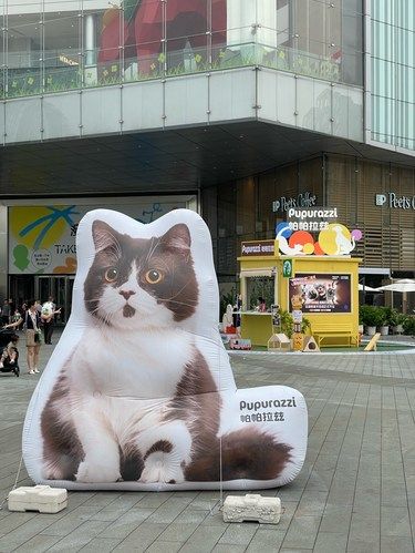 就在龙湖西宸天街！养狗养猫的都去！！！