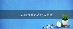 人间白月光是什么意思