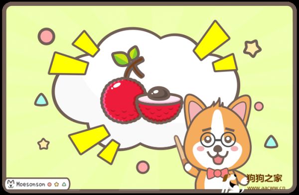 狗狗可以吃荔枝吗