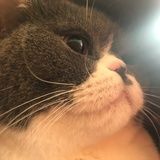 小勋快上