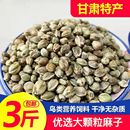 新麻子鹦鹉粮纸壳麻子饲料奖励零食油纸皮火麻籽鸟粮鸟食甘肃特产