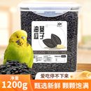 鹦鹉小瓜子零食饲料鸟粮食油葵虎皮牡丹玄风训练奖励专用混合用品