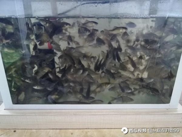 评论图片