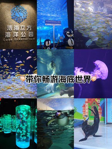 带你畅游海底世界～