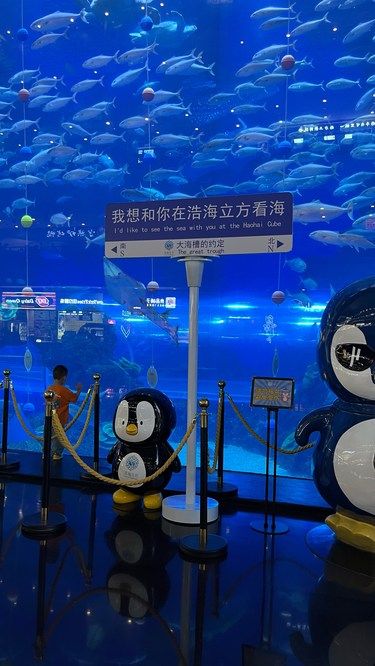 成都浩海立方海洋馆