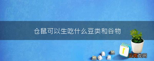 仓鼠可以生吃什么豆类和谷物