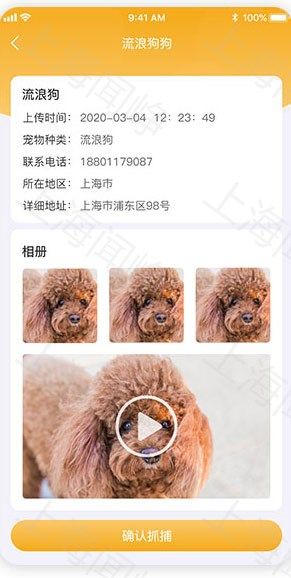 解决城市周边流浪动物难题，定制APP帮助流浪动物回家